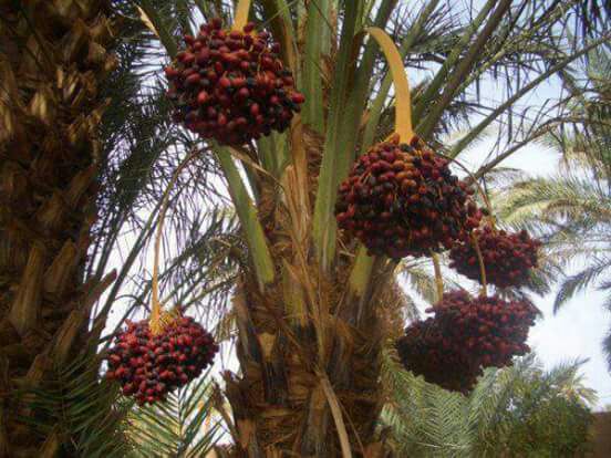 عبدي انديشون (@abdindychon) on Twitter photo 