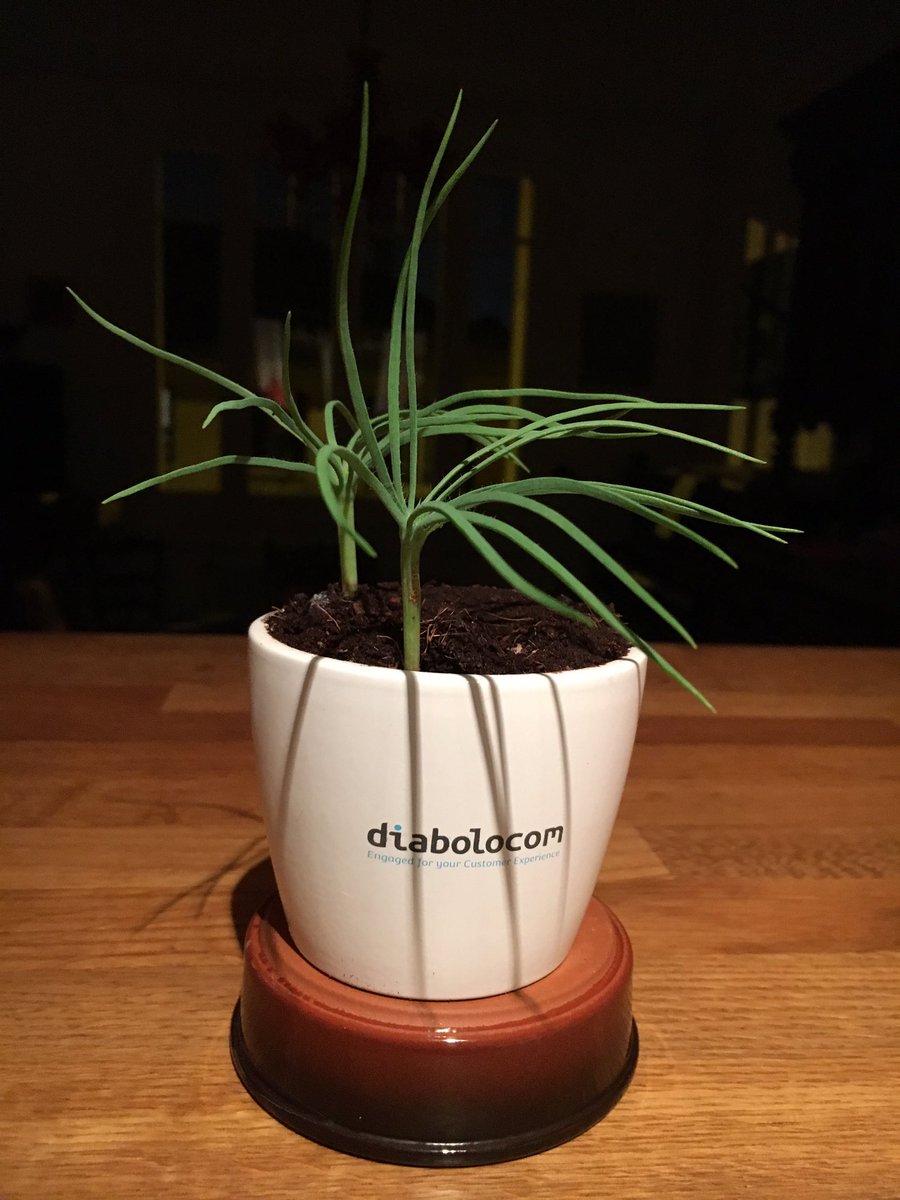 murielknezynski's tweet photo. @diabolocom https://t.co/hJxtw92JaH