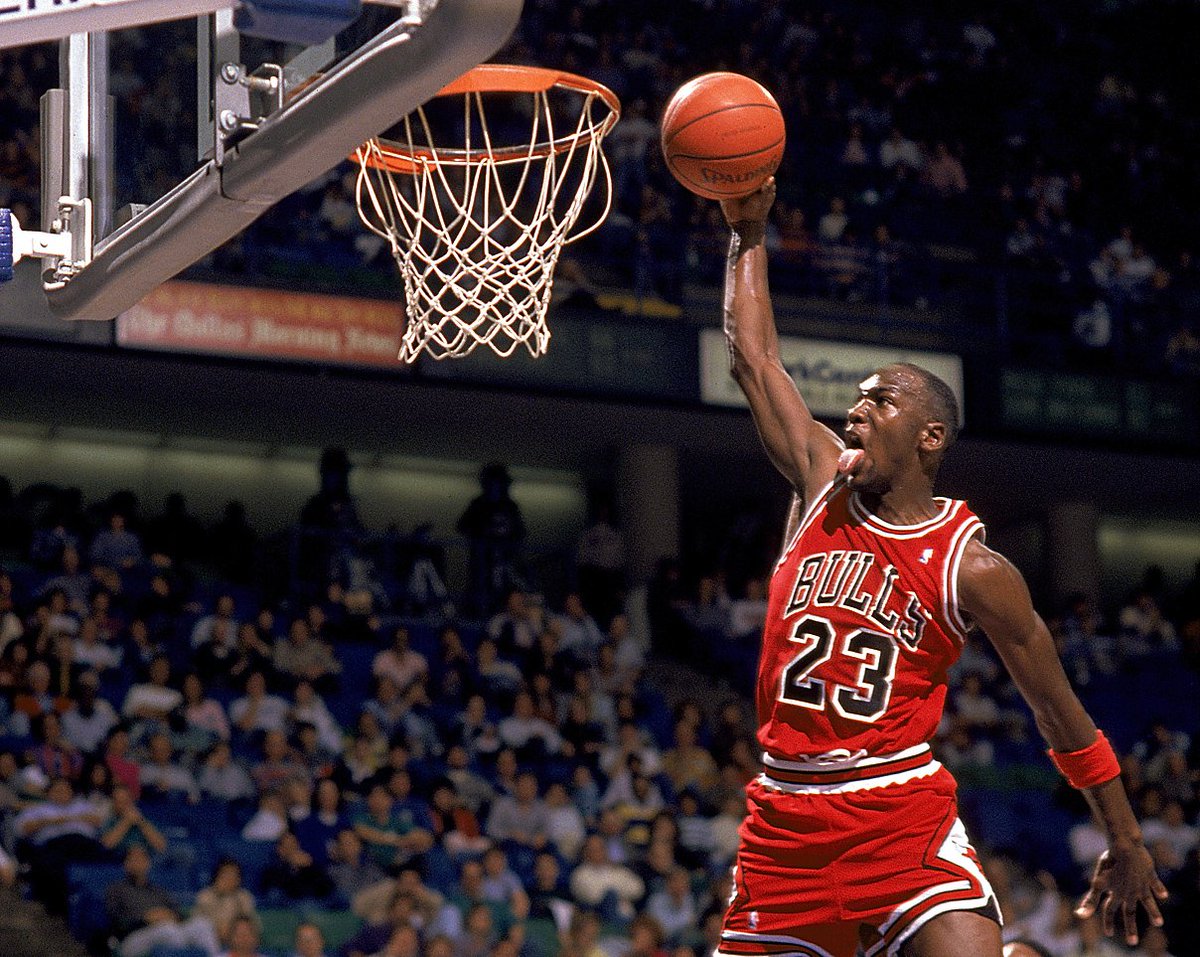 michael jordan can fly