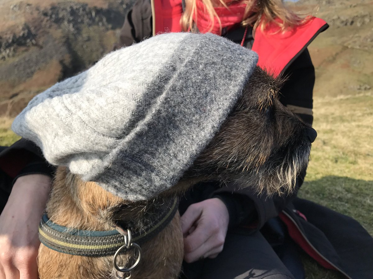 Rubytheborder's tweet image. Got a bit cold this week in the Lakes, the hat kept falling off so stuck with the jacket in the end.