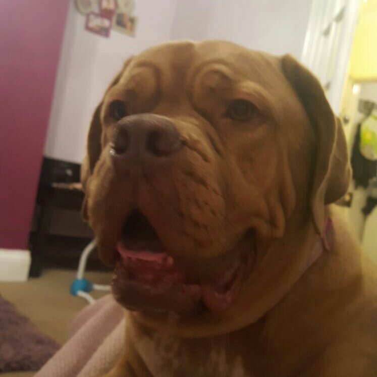 benbutton1's tweet image. #NewProfilePic