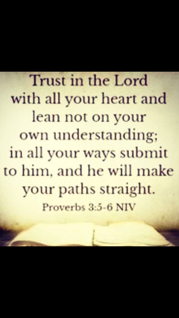 Tracy Beach (@66daysofbeach) on Twitter photo 