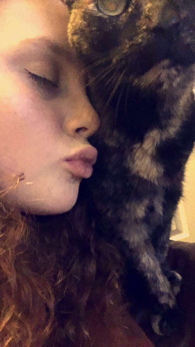 KennedyALawler's tweet photo. Rest In Peace my beautiful girl. You'll always be loved. Even though you're gone you will always be in my heart 🐾🐱 https://t.co/BFbru5DuLz