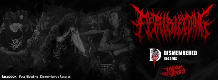 With pride, now we were in Dismembered Records family, for release our album in this year, entitled "The Quest of Immortality."