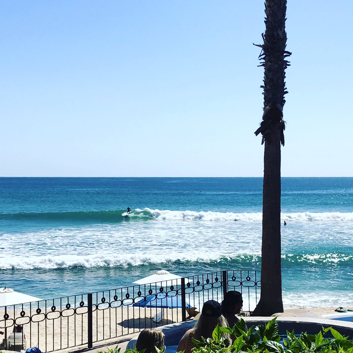 cabosurfhotel's tweet photo. Swell is still pumping! #waves #cabosurf #awesome #cabosurfhotel #loscabos #boutiquehotel #beachresort #beach #sanjosedelcabo #surf https://t.co/keEGqka757