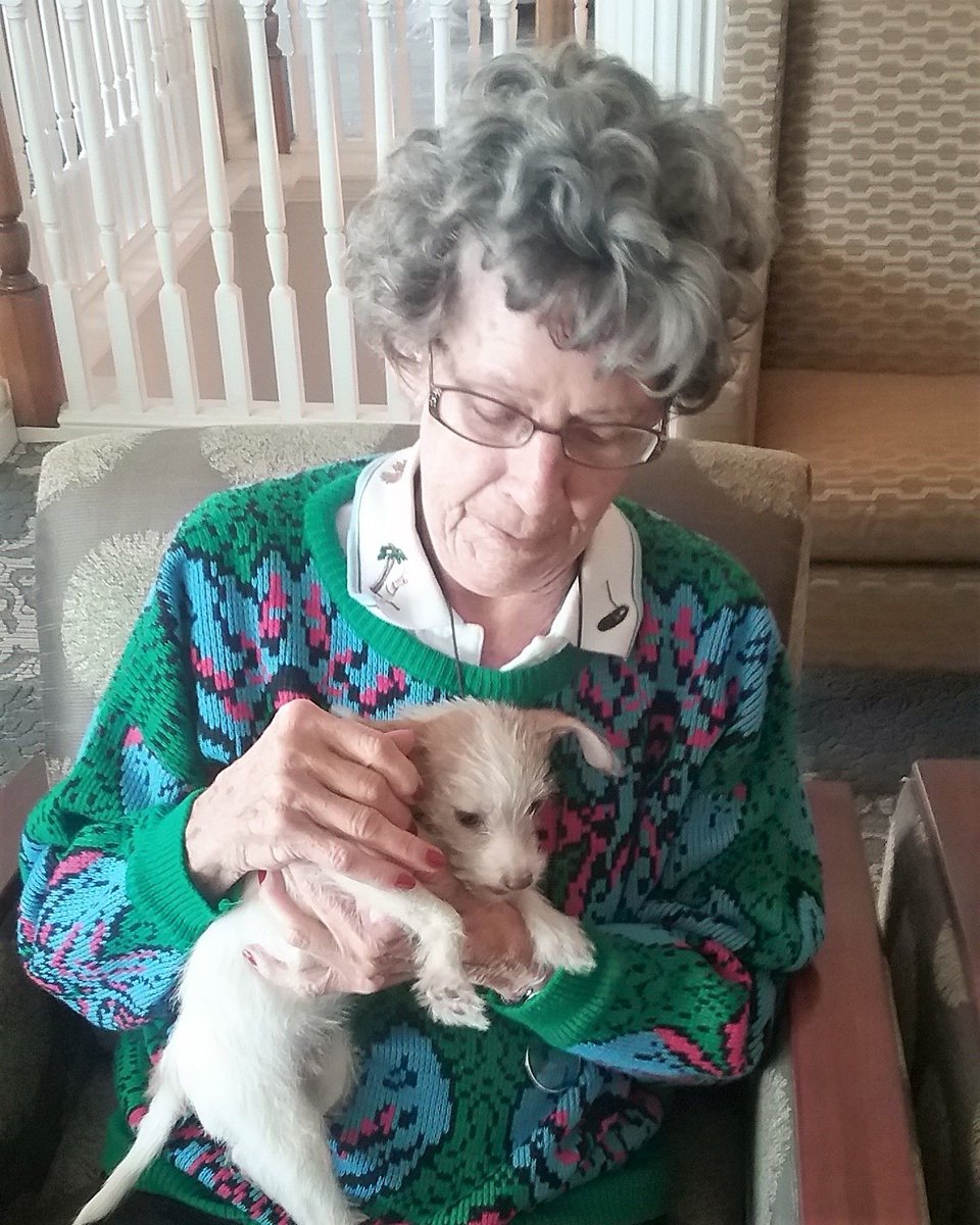GreenTreeMtV's tweet photo. The residents had a blast with the fur baby from the Mt. Vernon Humane Society. #FrontierCulture https://t.co/cfgZEqNyet