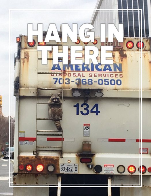 View image on Twitter