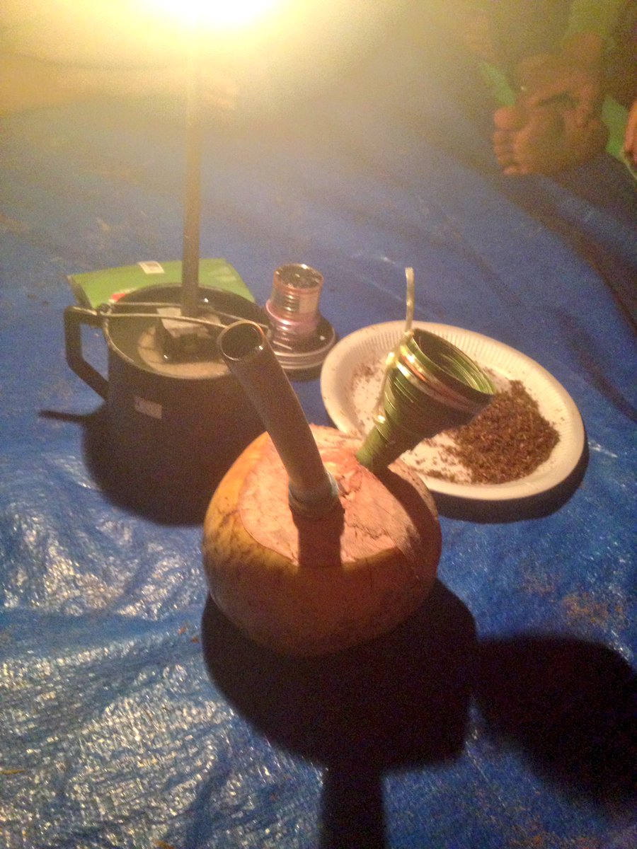 hattachelathafi's tweet photo. #tenangisgood #weed #jungle #island #icanfly #tobacco #chuling #pelitakabat #syahduanginmalam #senyumselalu .. pulau itu kami punya .. hahah https://t.co/6MfyrwJhP7