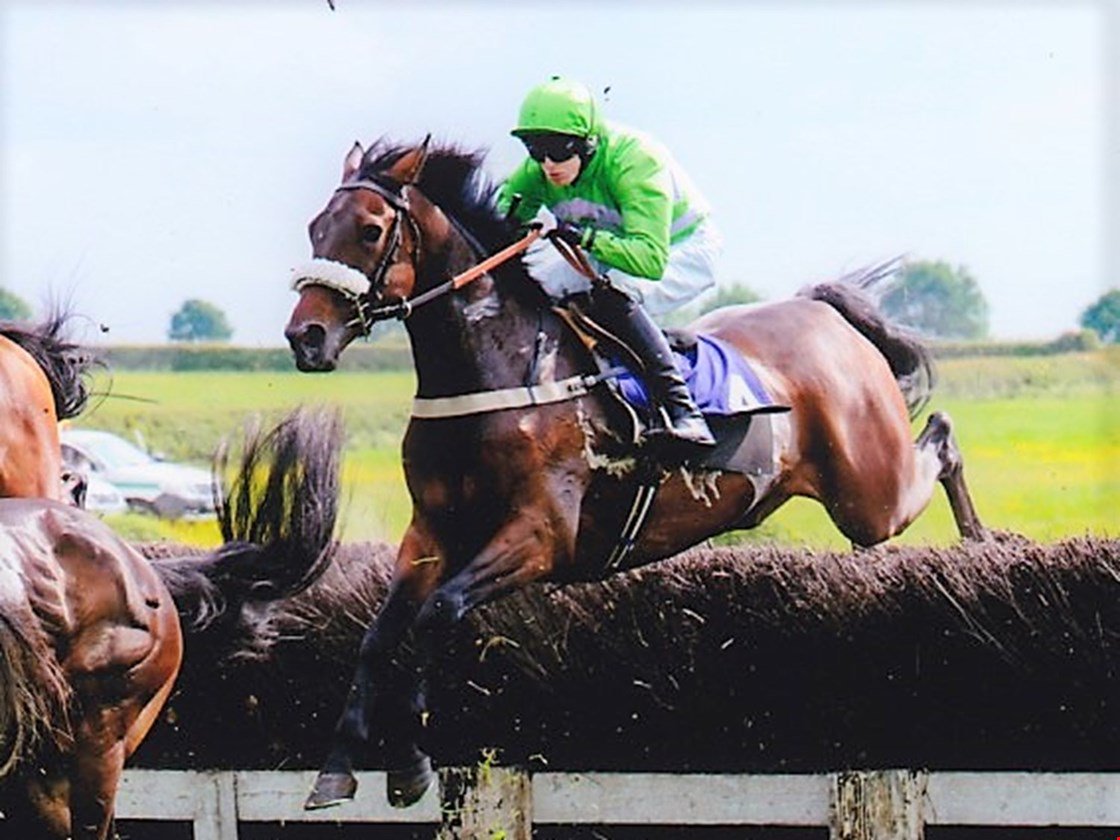Congratulations to connections of CARLTON RYAN #winner <a href="/FakenhamRC/">Fakenham Racecourse</a> today! He's <a href="/CheltenhamRaces/">CheltenhamRacecourse</a> bound and #ForSale bit.ly/2kTqV37