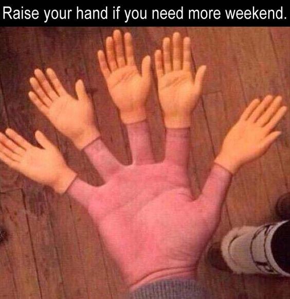 gorvexonline's tweet photo. So much yes! #FridayFeeling https://t.co/KbTGO3jk4g