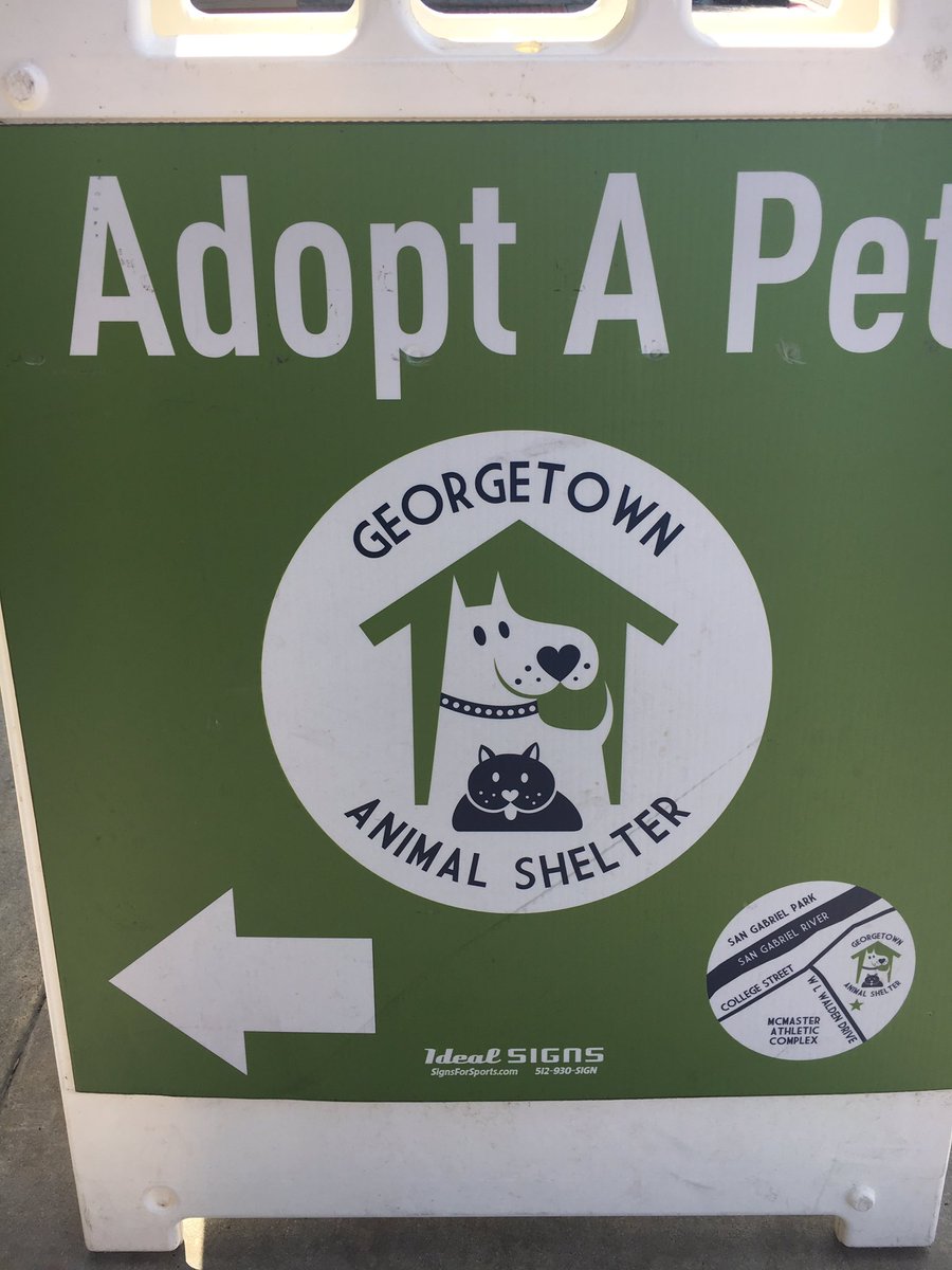 1772petsmart's tweet photo. Come visit these cuties from the Georgetown animal shelter at the #adoptspot #roundrock @CraigZ_petm @DonnaDslack https://t.co/XHSGUphKPc