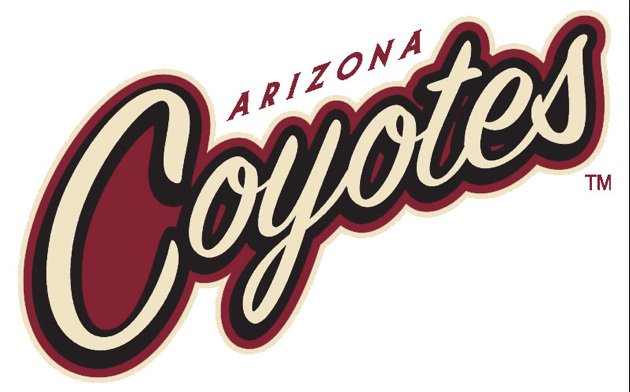 ASU_Relay's tweet image. Don't forget, buy your #Coyotes V Louis game tickets for Mar 18 and help #ASU #RelayForLife find a #cure for cancer. ow.ly/R054308tqHC