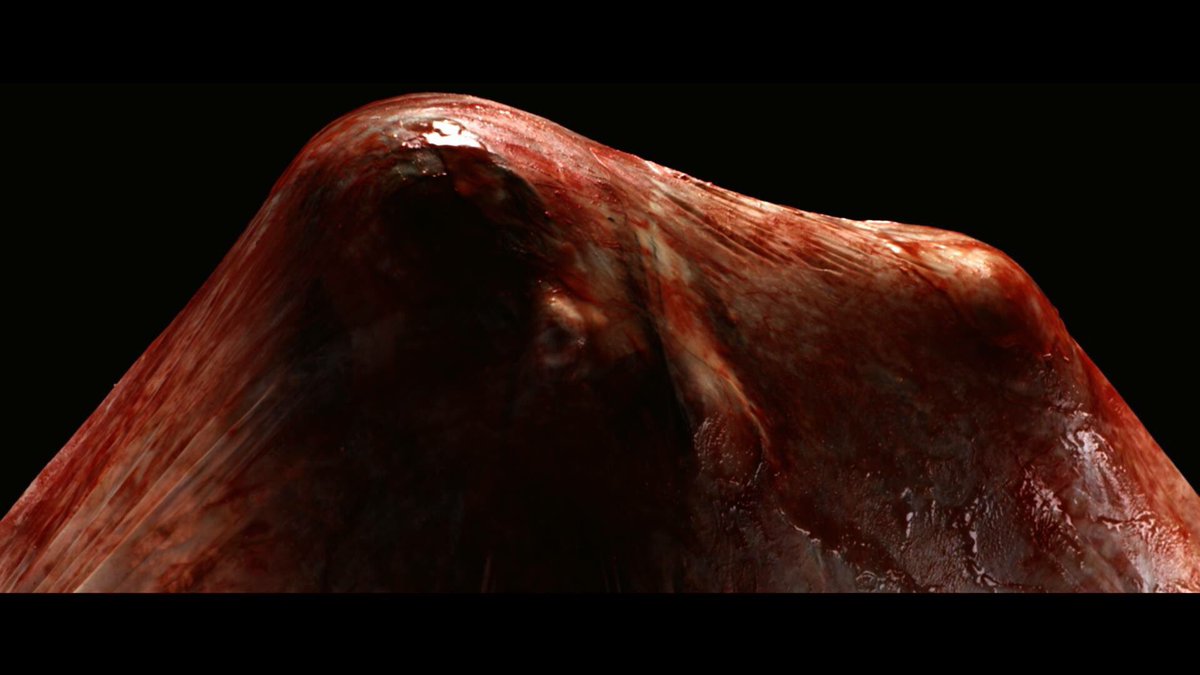 Have a #FreakyFriday #FF #Horsehead