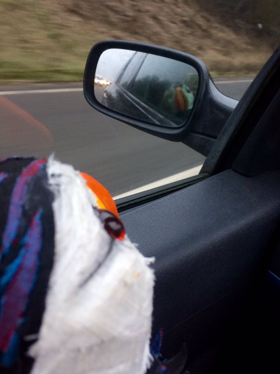 OpenAtticCo's tweet photo. Now, road tripping over to play @SalisburyArts tomorrow as part of #theatrefestwest at 11.30am and 2pm. Puffin LOVES a good car journey! https://t.co/vZrsfFYMx7