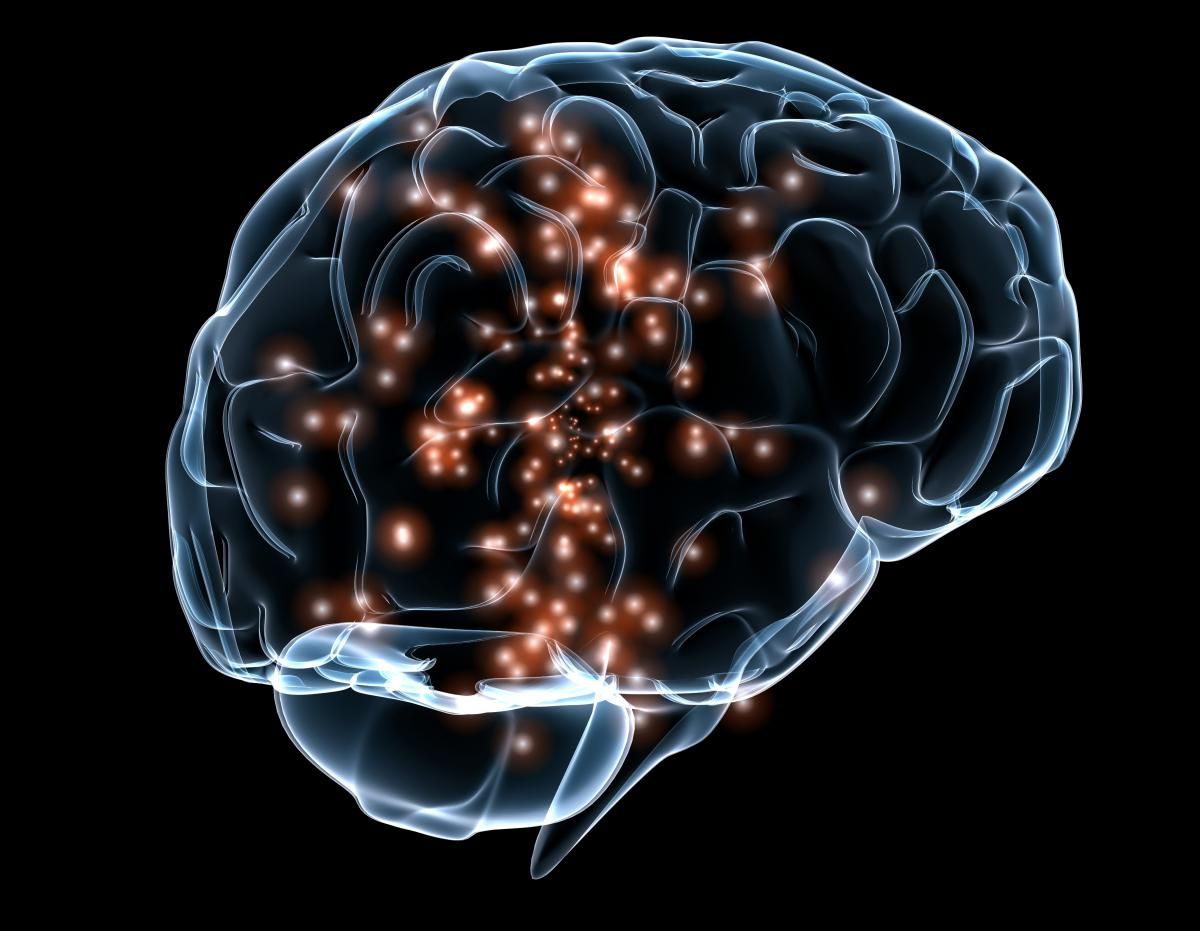 WardPlunet's tweet photo. Is the human brain hardwired to appreciate poetry? https://t.co/oF1hI9DJeD https://t.co/WE0iKnH6Vo