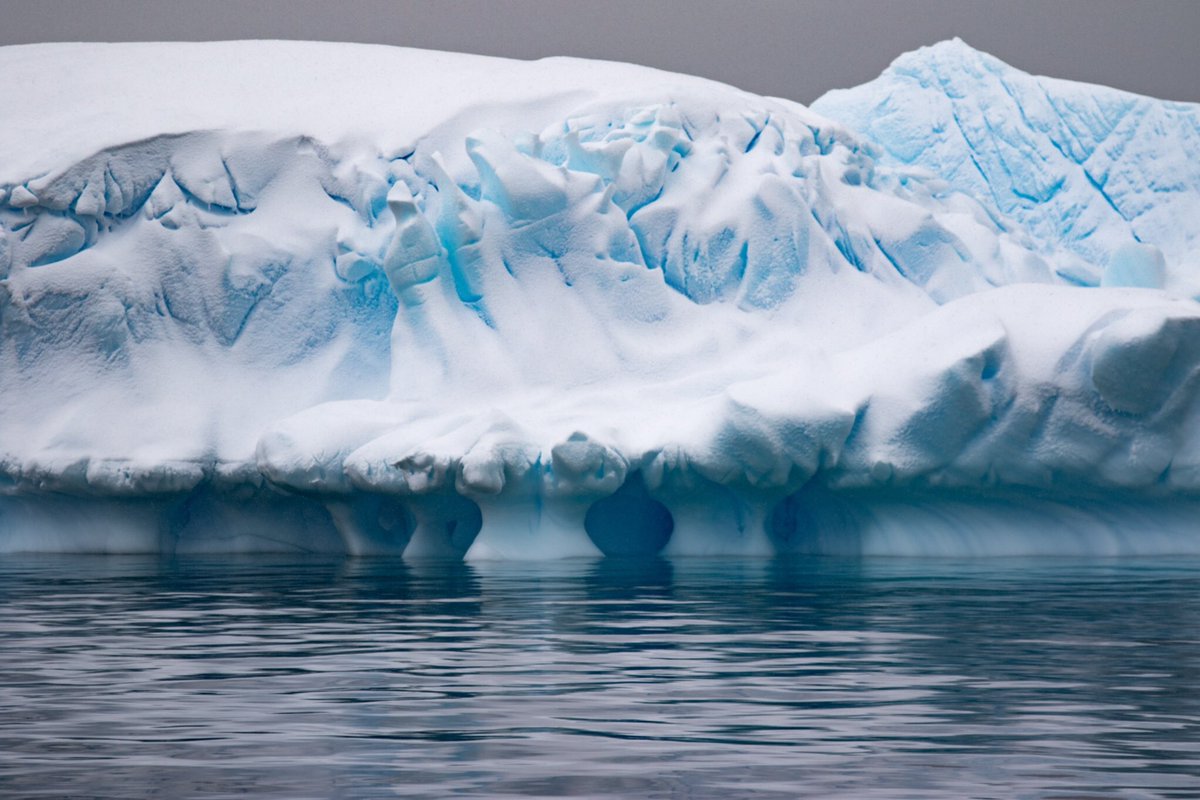 This is one of 20k photos I took on my first trip to Antarctica last winter aboard the #NationalGeographicExplorer! 
P.S. #thisisnotadrawing