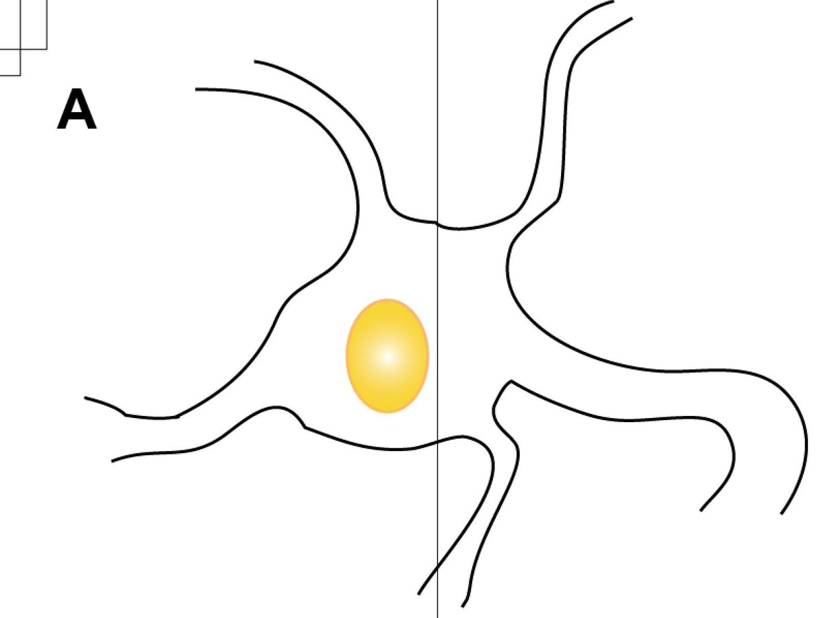 HalfPintLabRat's tweet image. All hail the Egg Neuron. #figuremaking
