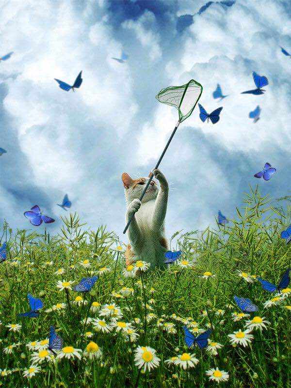 <a href="/CarolynNewsom/">Carolyn Newsom</a> <a href="/LupitaCampos13/">Lupita Campos</a> <a href="/Didinette02/">Didine02</a> <a href="/shellandjeff/">ジョン・F・ケモナー</a> <a href="/Silvinabertolti/">Silvinabertolotti@ou</a> <a href="/cfacid/">Cfacid 🌴🐠</a>