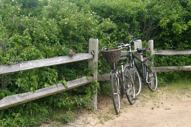 RobertsCollectn's tweet photo. We asked which beach in #Nantucket is found at the bottom of a giant staircase — that would be none other than #StepsBeach! #ACKfacts https://t.co/jSypXCKqcY