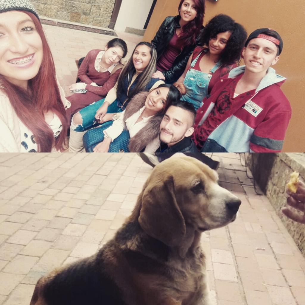 poliadoptaCAN's tweet photo. Poli Adopta Un Canino #creatcampspoli @angelahcantor https://t.co/gqA0OiHuXS