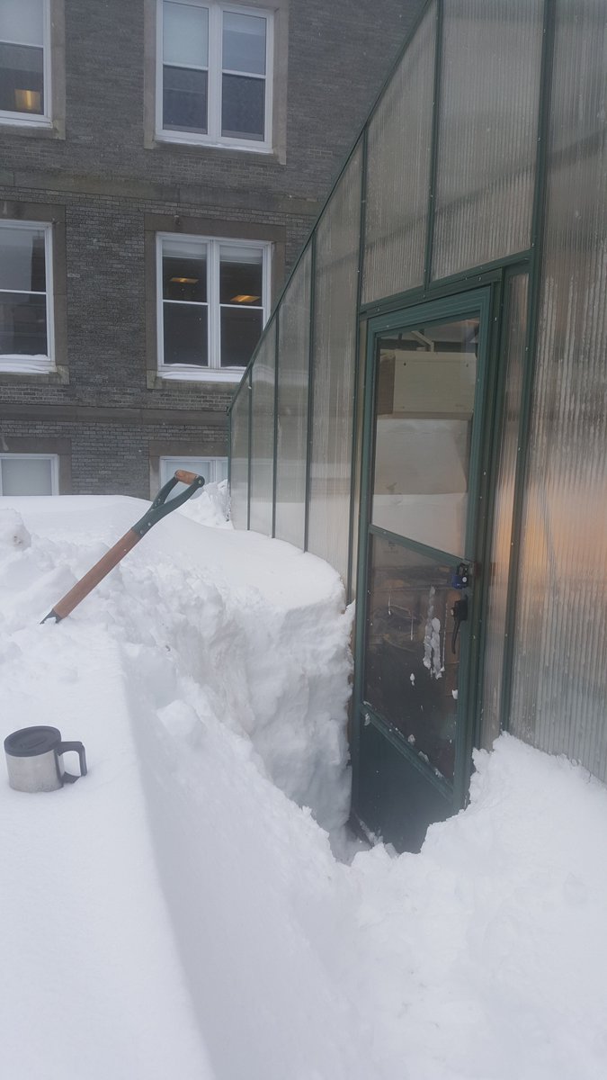 Heim_Amy's tweet photo. Canadian greenhouse in winter, my seedlings are warm and cozy! https://t.co/k59ZScUVdc
