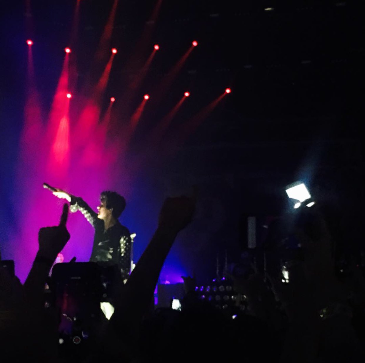 Happy birthday Billie Joe Armstrong  Photo taken by me.
8th February 2017. 