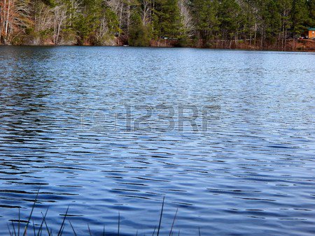 simplemomof2's tweet image. #amaturephotography #funhobbies #furbabies  Love having my hobby out there for everyone to see and maybe put to use! :)