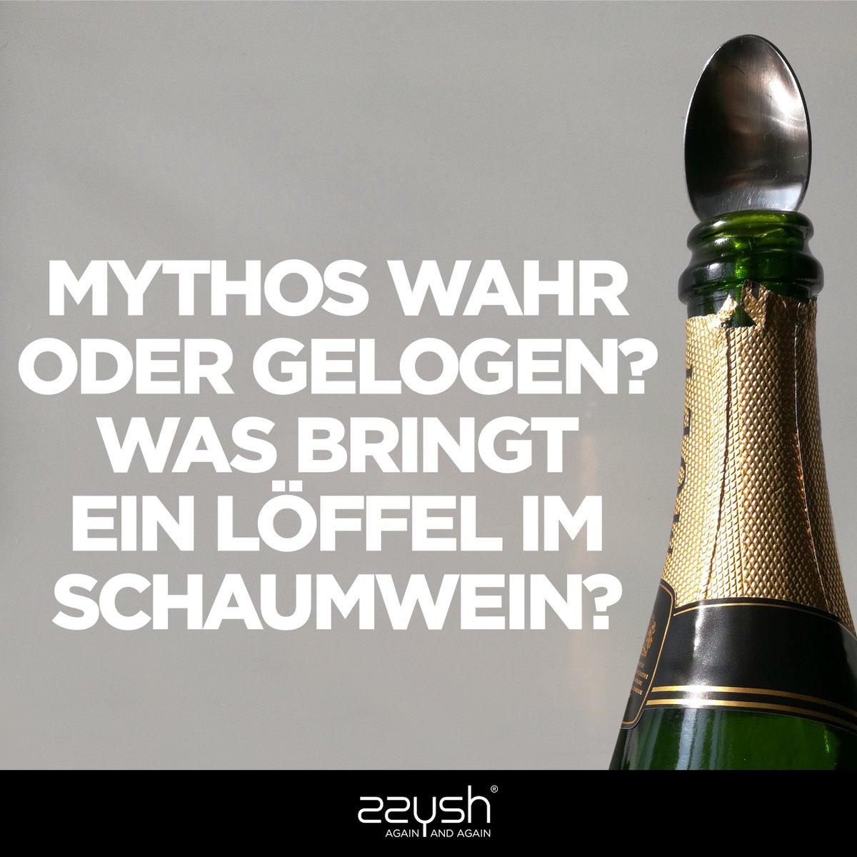 zzyshme's tweet photo. Ob Silber- oder Blechlöffel, ob Champagner oder Prosecco. Der Löffel bringt nichts. Zum Glück gibt es jetzt #zzysh – https://t.co/g51XEPkJuk https://t.co/W421lQ4Qzn