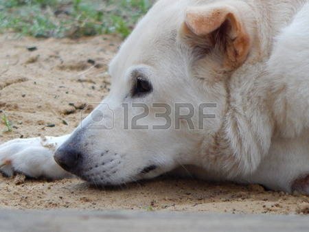 simplemomof2's tweet image. #amaturephotography #funhobbies #furbabies  Love having my hobby out there for everyone to see and maybe put to use! :)