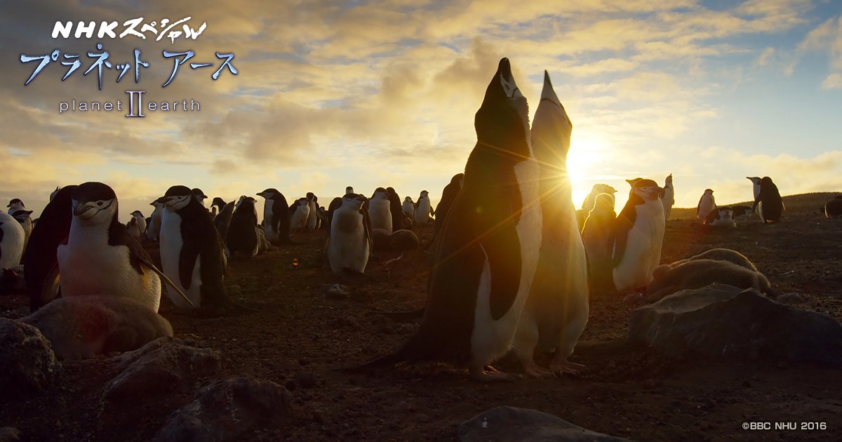 プラネットアースii Twitter Search Twitter プラネットアースii Twitter Search Twitter