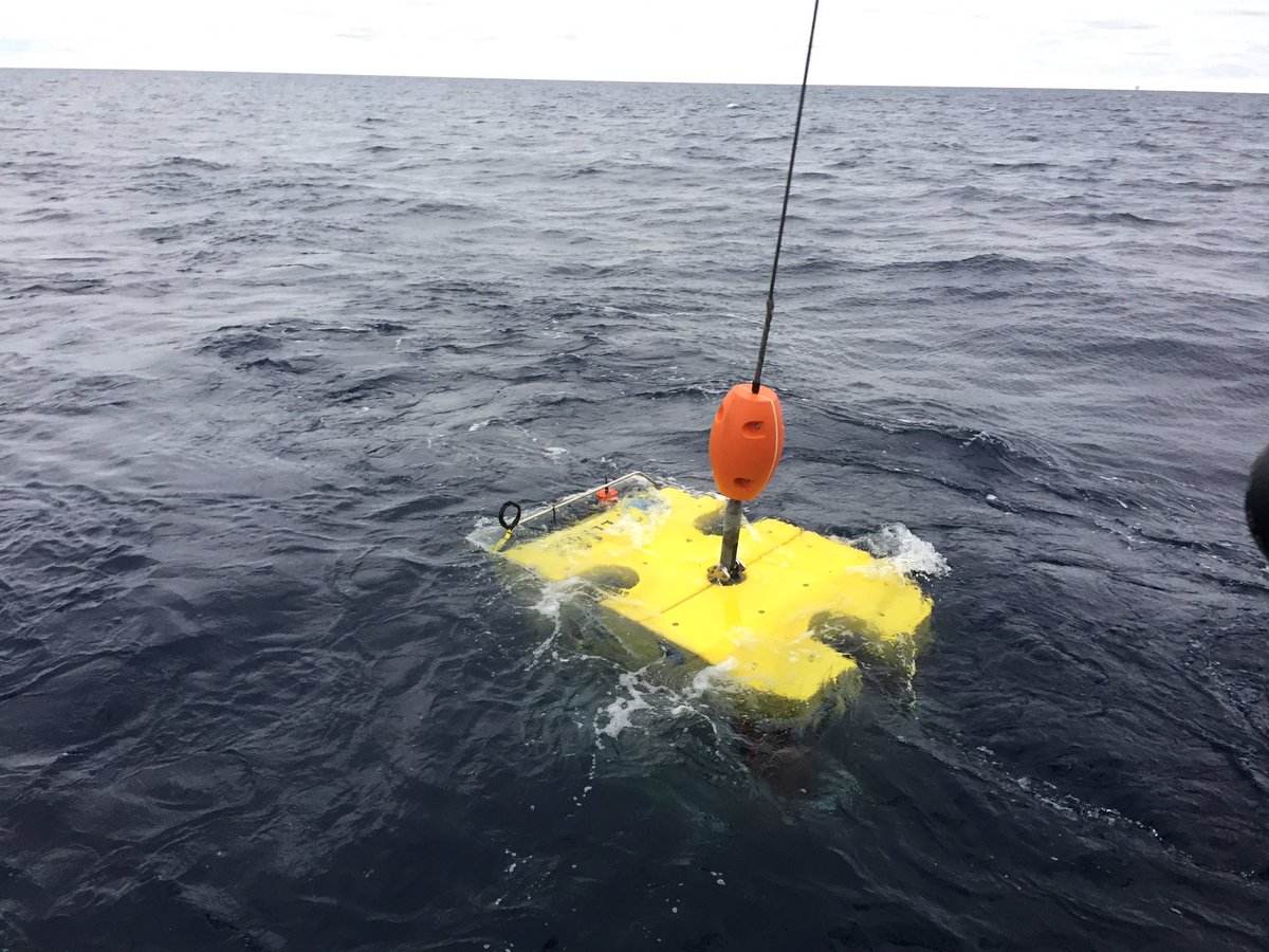 FIO_MontyGraham's tweet photo. Officially in the water for maiden dive of Odysseus! #SMTTDeep! @SouthernMiss @USMMarineSci @GCRL1 @hamdanlab https://t.co/CTP264FJuw