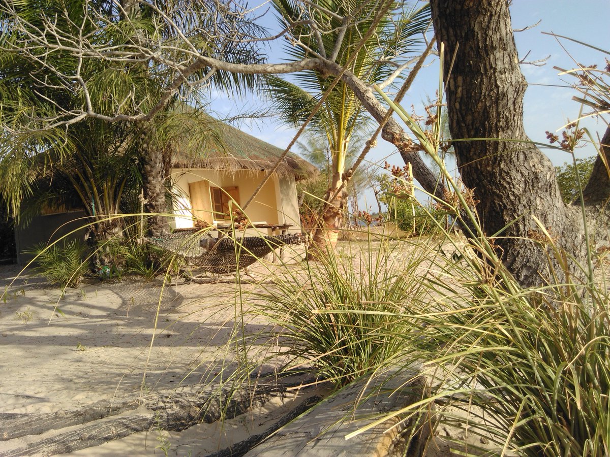 Atelier Reeb tweet media