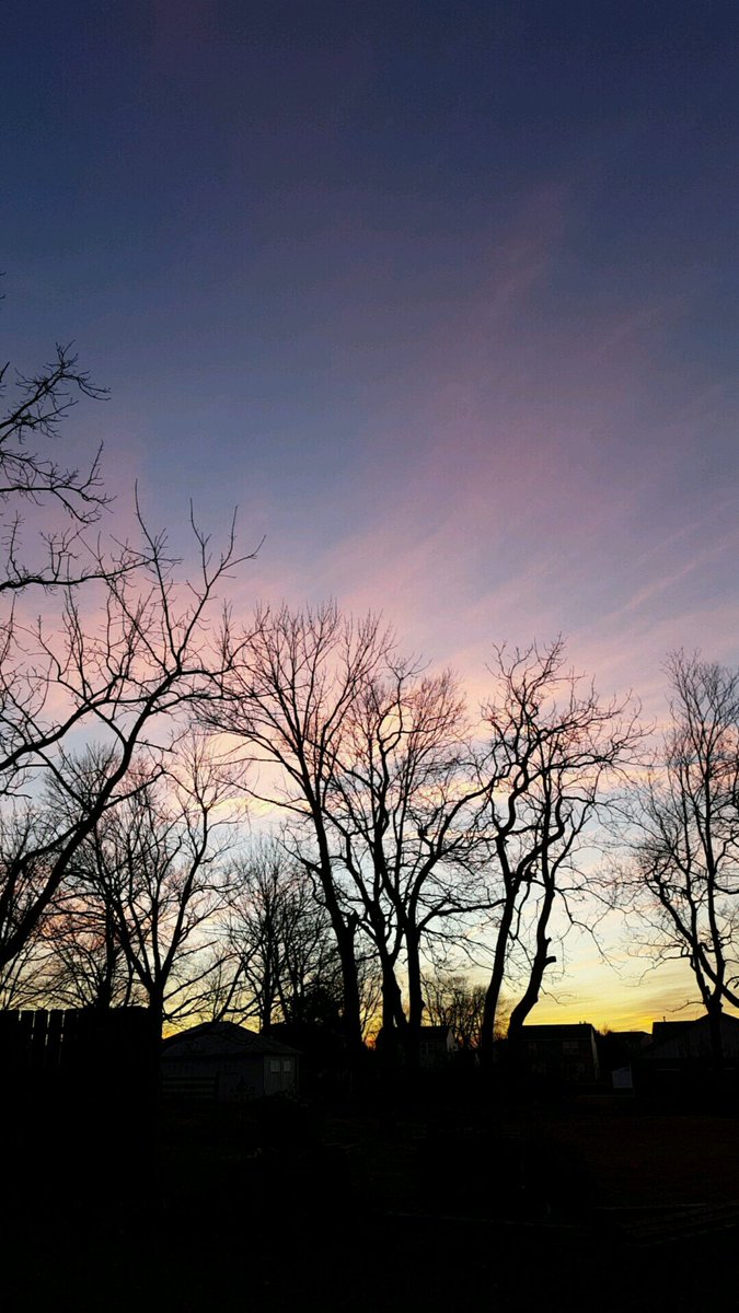 whitloli28's tweet photo. #sunset #indianaskies #prettyskies #winterskies #winterinIndiana #021717 https://t.co/uhJ25koVAK
