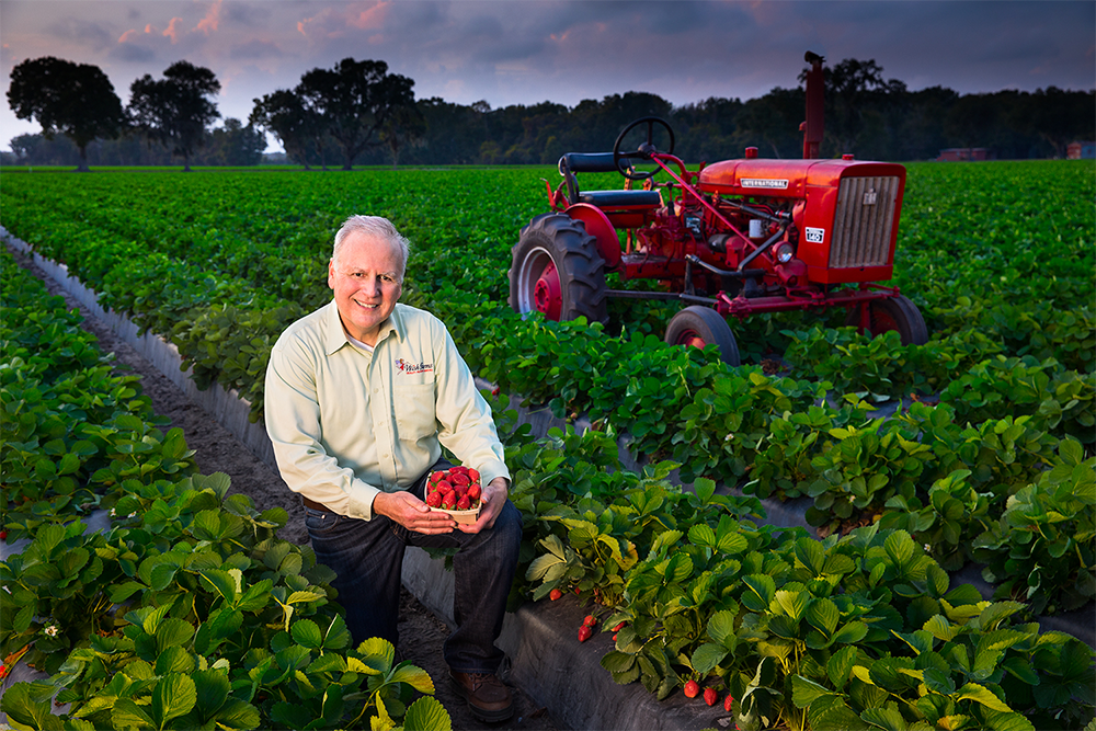 Florida Kitchen on Twitter "We are featuring another