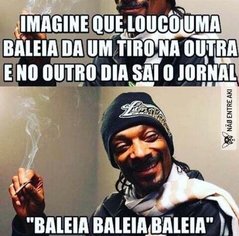 Mundo Zueira tweet media