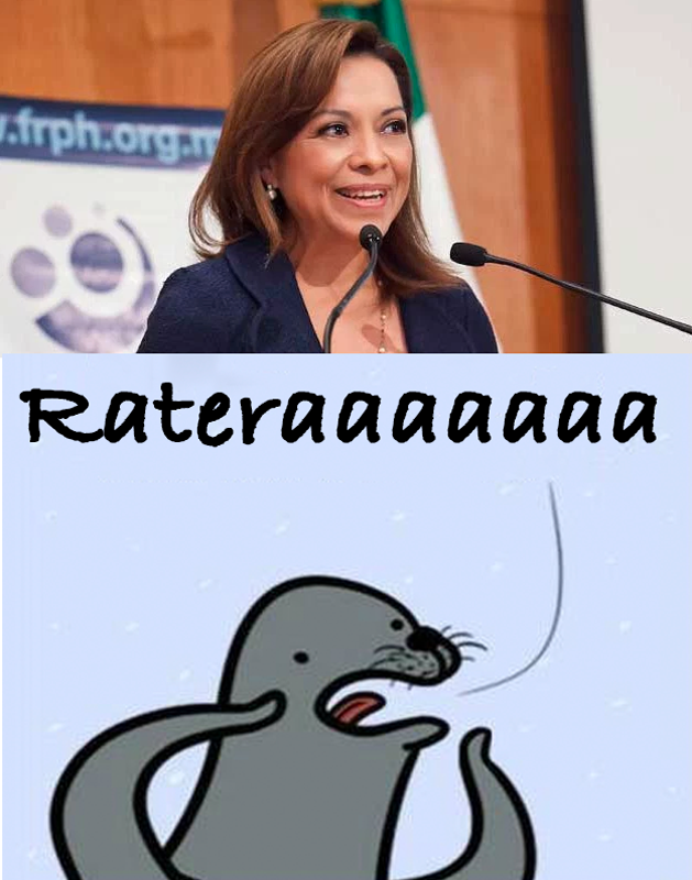FreelandOrta's tweet photo. En el PAN la opinion de los militantes no cuenta por eso @RicardoAnayaC designa a sus candidatos https://t.co/Mb2ZafC21M https://t.co/UGmjpSrLWy