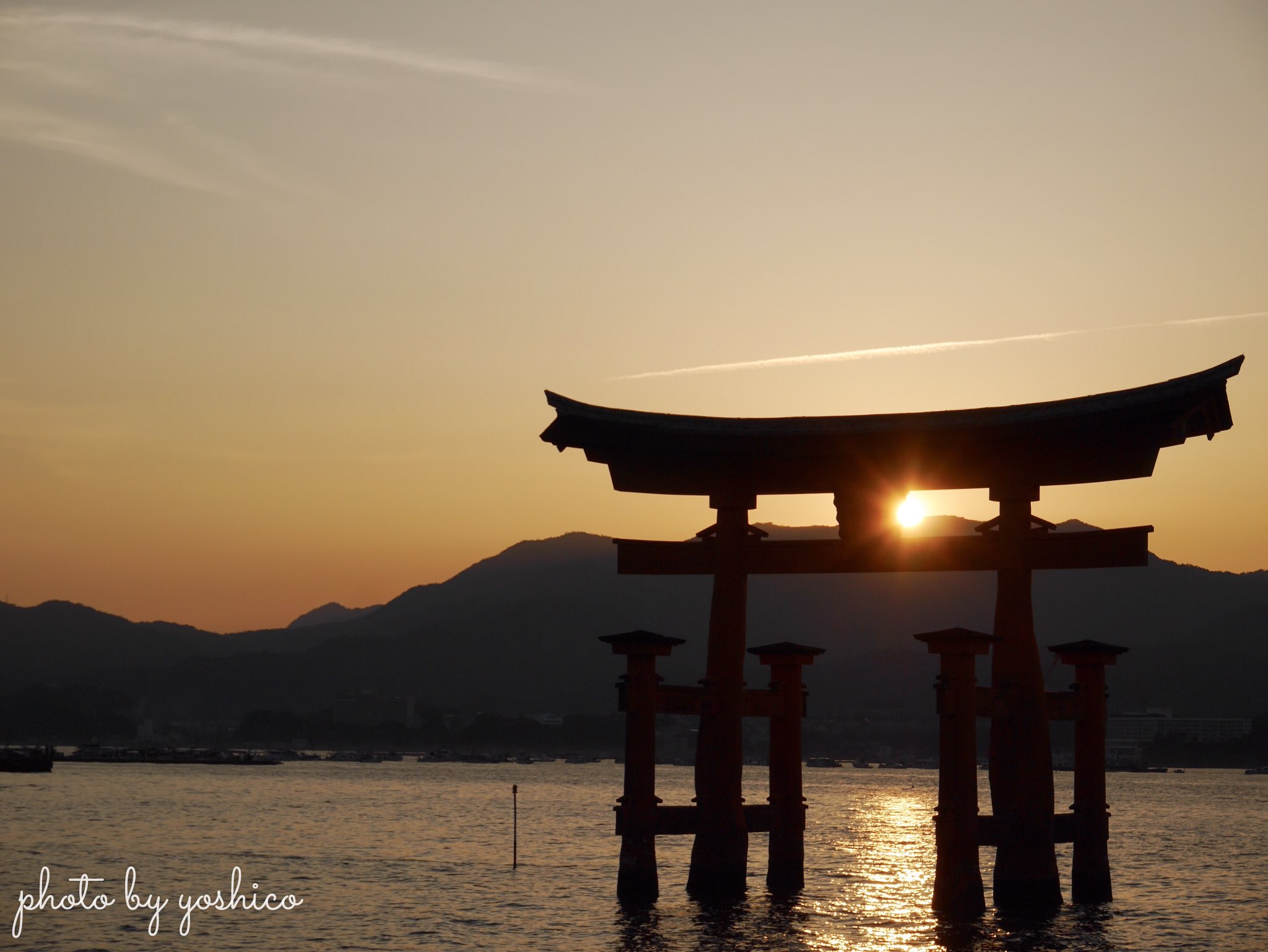 𝖸𝖮𝖲𝖧𝗂𝖢𝖮 あの日の夕方 キレイな夕日が見れた気がする Location Hiroshima 鳥居 厳島神社 宮島 宮島観光 夏の宮島 世界遺産 日本三景 厳島神社大鳥居 Miyajima ファインダー越しの私の世界 カメラ勉強中 Lumix T Co