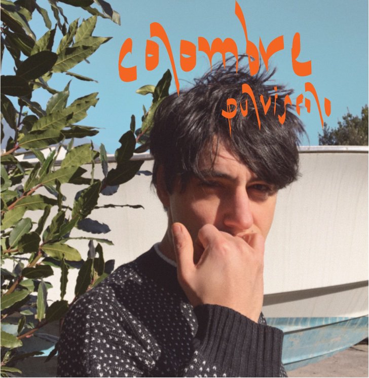 Colombretwit's tweet photo. Ciao il 17 marzo, esce il mio disco 
 "Pulviscolo" per Bravo Dischi e questa è la copertina!
L'artwork è di @bambi_maria https://t.co/irdxQrh9Rk
