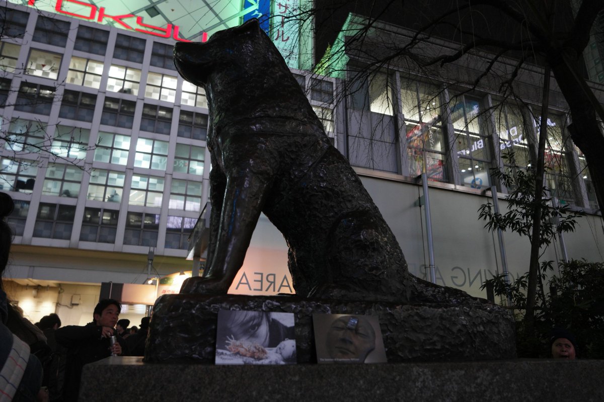 Bulamonto's tweet photo. Transform an #unsustainablesituation to a #RandomActsofKindnessDay @antibullychamp @RightToSucceed @OMSFoundation #idreamforpeace #hachiko https://t.co/1llRCEcVF2