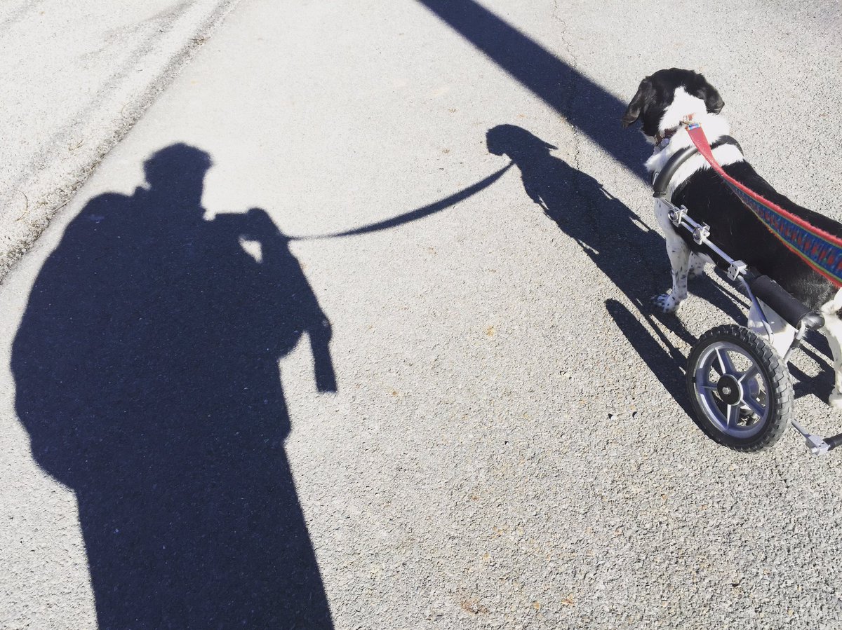 <a href="/Eddies_Wheels/">Eddie's Wheels</a> nice day for a spin Ruby and her Hot Wheels