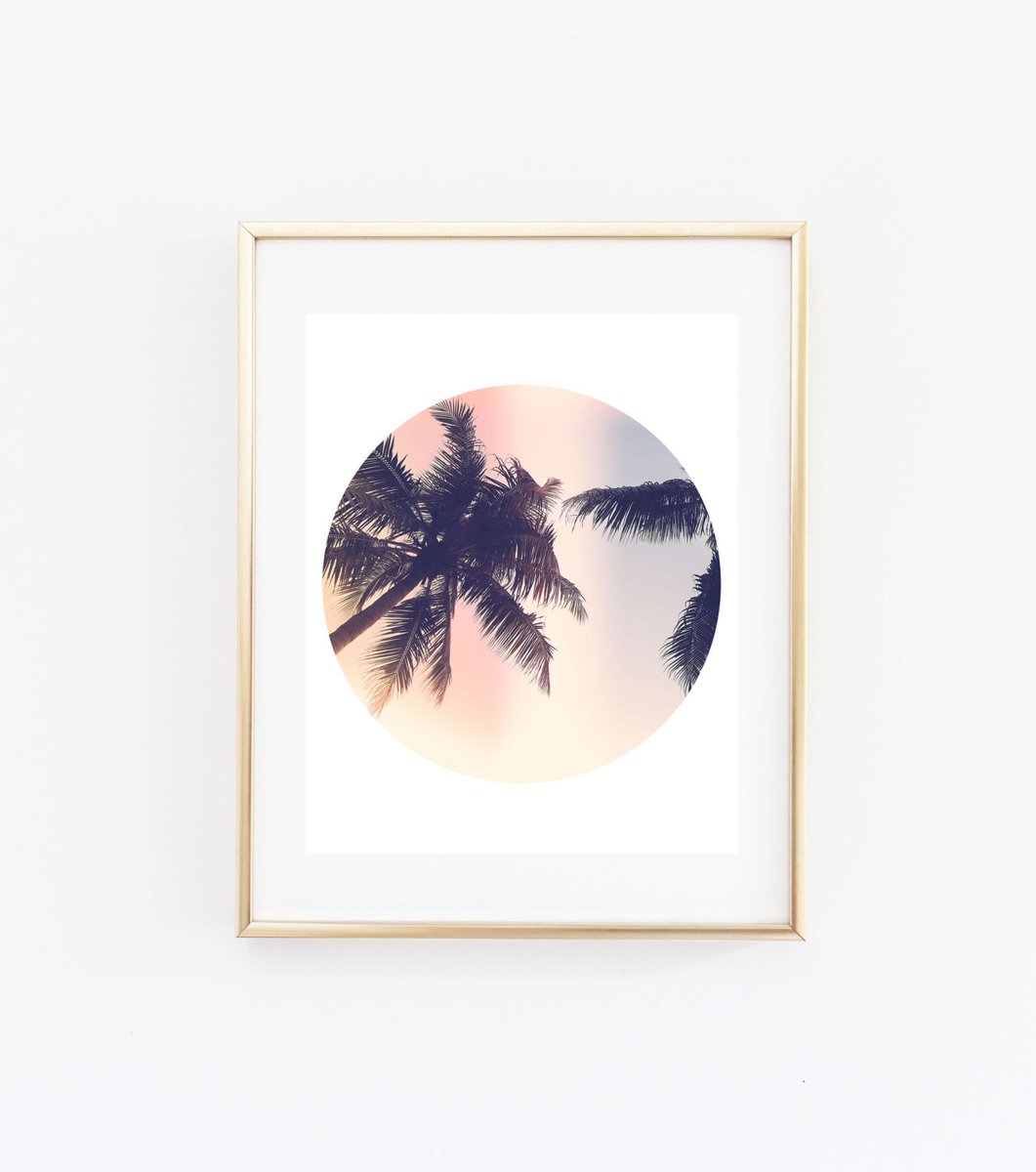 kiwiNberries's tweet photo. Palm print - California wall art - sunset palm tree print - Tropical hom… https://t.co/i1VWdW2NWq #Etsy #PalmTreeArt https://t.co/HU8wkOflGE