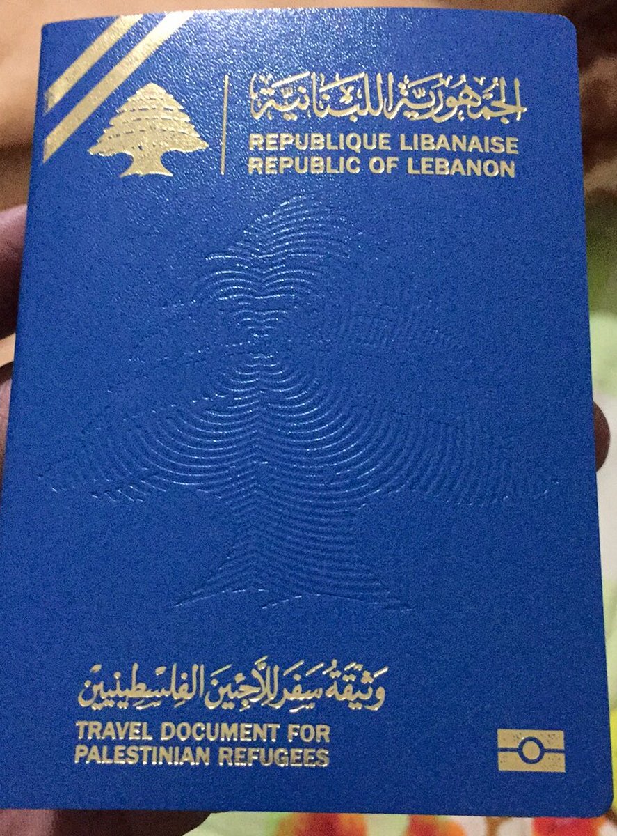 picture of travel document