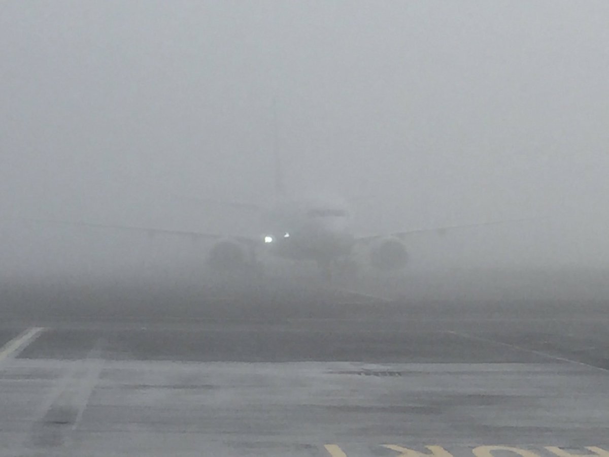 Manwench22's tweet photo. From out of the gloom... @NCLairport https://t.co/rJxTqGiK5c