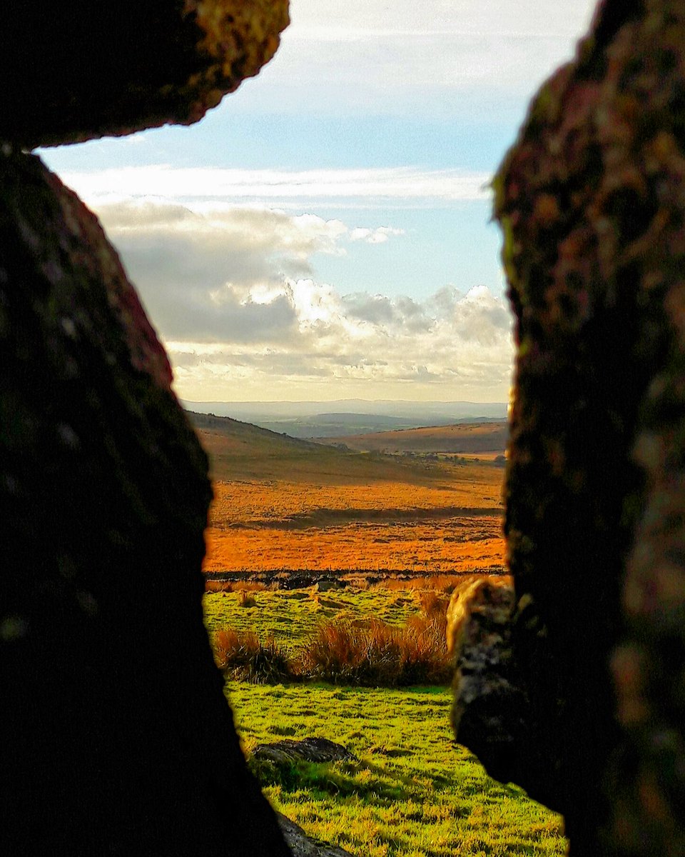 nationaltrust's tweet photo. Peeking through the stone walls in Dartmoor @NTSouthWest.
Photo: Becky Mathis https://t.co/MxAOboLtNg