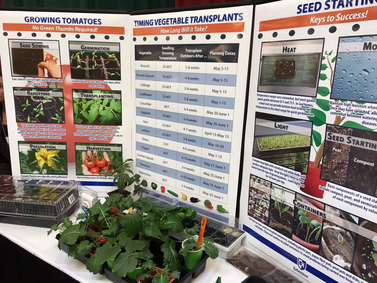 UNHExtensionHC's tweet photo. Gardeners know that February is time to #thinkspring. Visit @AskUNHExtension at @NHFarmandForest for seed starting tips and tricks! https://t.co/Hnu5x4tW36