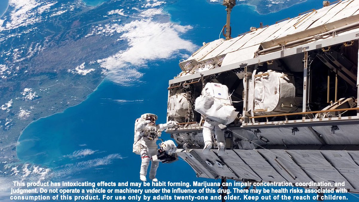 "Please tell me you brought the lighter this time."
#DiamondGreenTacoma #DiamondGreen #Tacoma #TacomaWa #TacomaWeed #Kush #Lit #Space