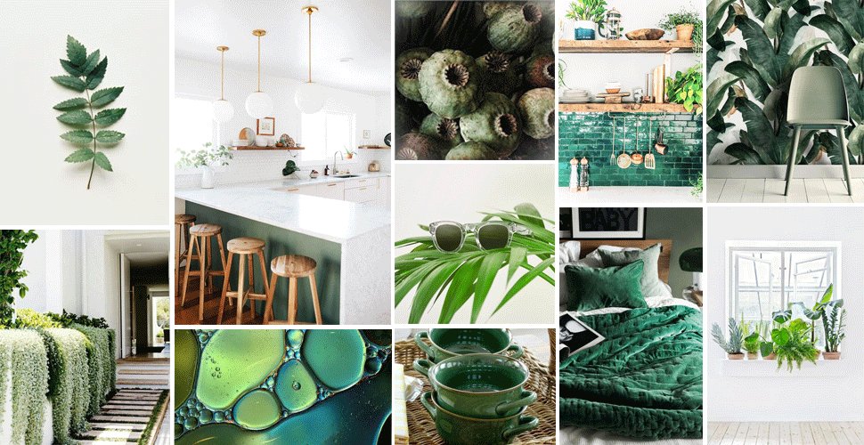 To reduce waste we are going to thoughtfully reduce printing. During our appointments we will be better utilizing our devices to share info.