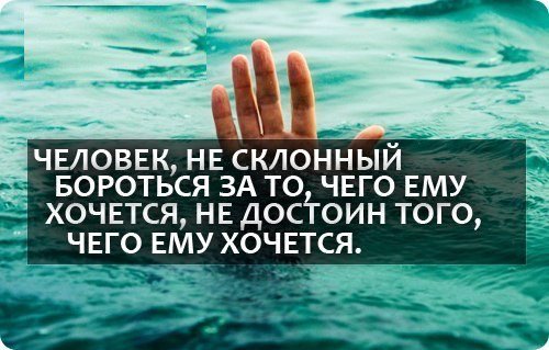ஜЦИТАТНИКஜ | Quotation book® (@pavelkrav) on Twitter photo 
