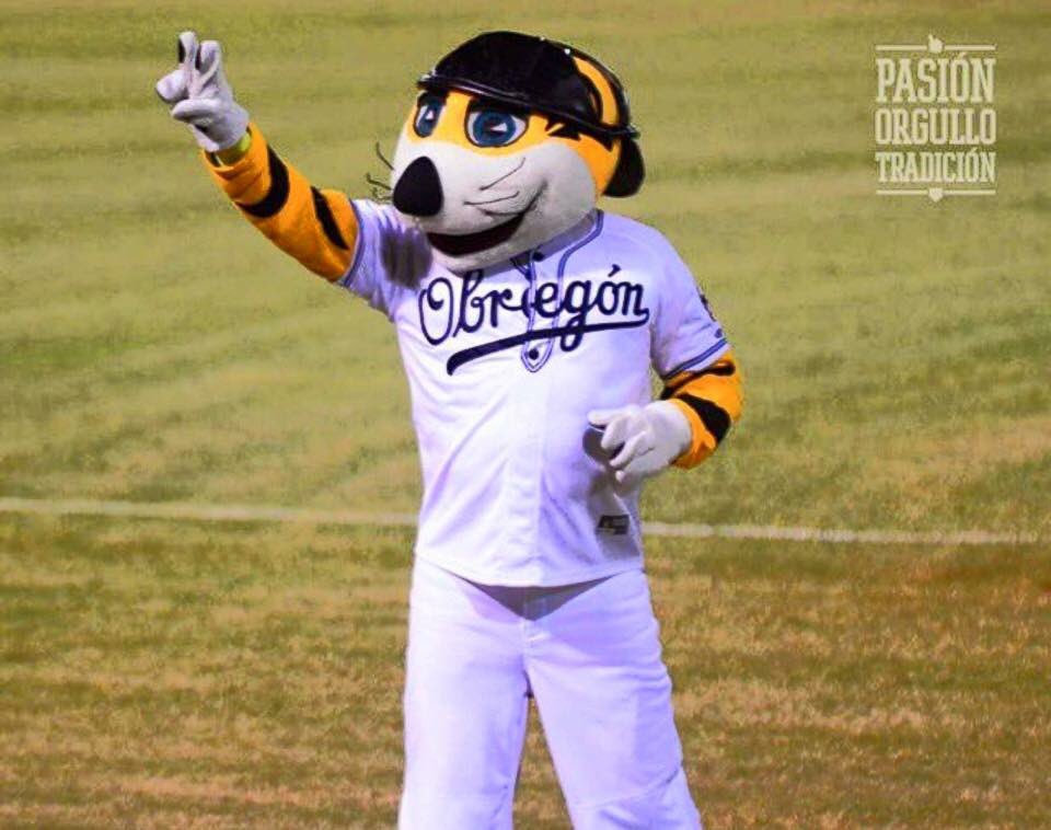 yaquis_oficial's tweet photo. Hola fin de semana, hola @tigrechacho ✌️️🐯 #PuroYaquis #FelizViernes https://t.co/Y0UN6U2ZPt