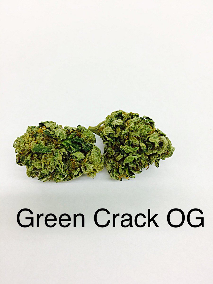 THTChamplain's tweet photo. Green Crack OG https://t.co/ieFP0xP5B3 https://t.co/hh93noSFYO